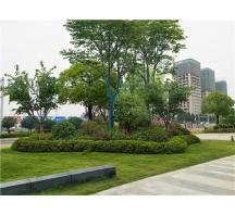 新密.同贏企業(yè)總部港園林景觀設(shè)計(jì)
