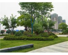 鄭州同贏企業(yè)總部港園林綠化